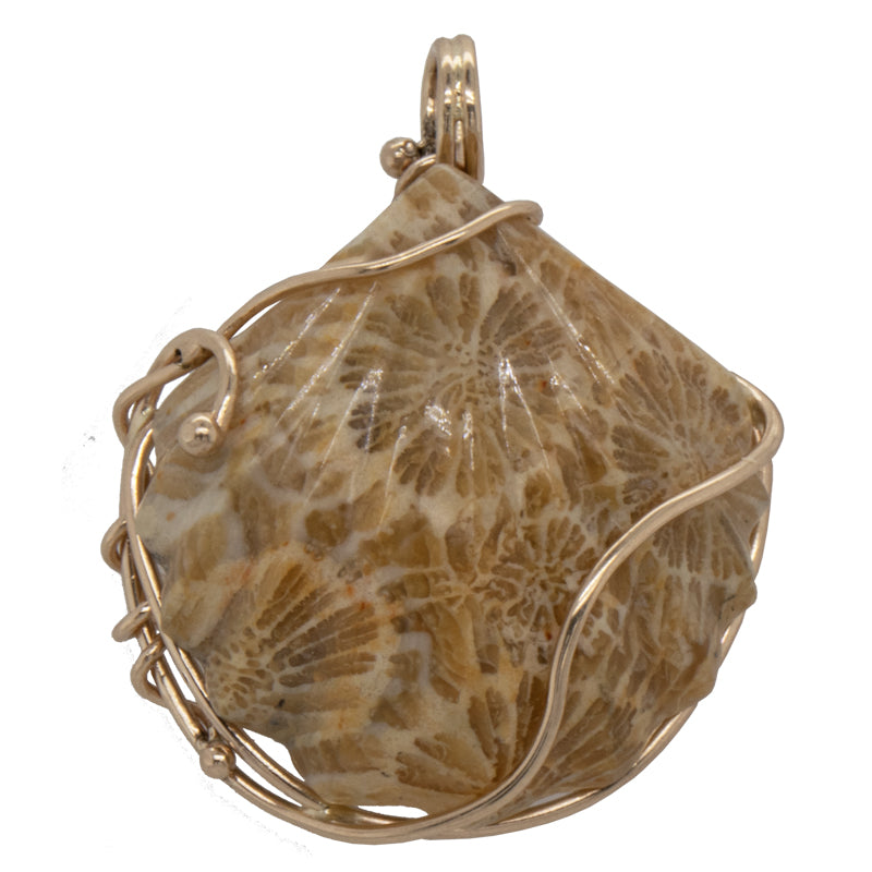 JBG Legacy Fossil Carved Coral Seashell Pendant