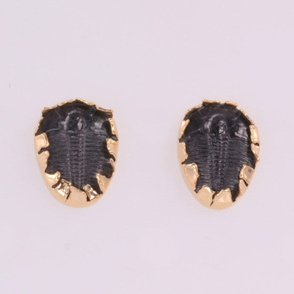 Golden Fossil Trilobyte Earrings